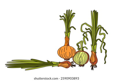 Hand drawn botanical colorful collection with juicy onions isolated on white background. Cartoon set of vegetables vector illustration. Graphic design for Birthday Invitation Advertising Shop Print