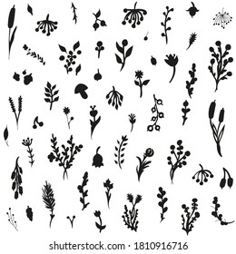 Hand drawn botanical doodles  pattern. Abstract vector illustration for textile design