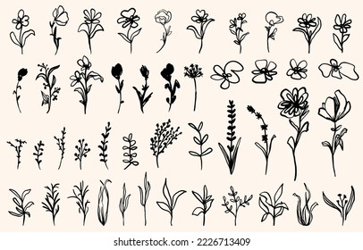 Hand drawn botanical element collection. Doodled, vector outline flowers with leaves, petals, herbs, grass plants, branches etc. bundle.