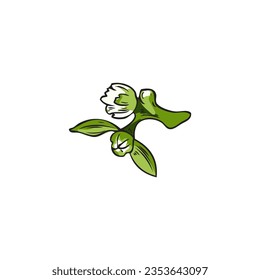 Elemento botánico dibujado a mano en estilo de esbozo, ilustración vectorial aislada en fondo blanco. Flor de pimienta chile con hojas, textura de grabado retro.