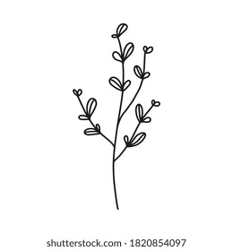 Hand drawn botanical element in vector. Perfect for design.