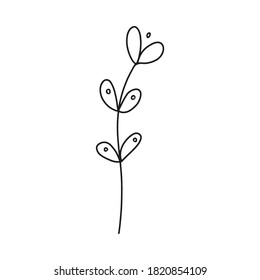 Hand drawn botanical element in vector. Perfect for design.