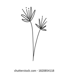 Hand drawn botanical element in vector. Perfect for design.