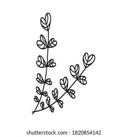 Hand drawn botanical element in vector. Perfect for design.