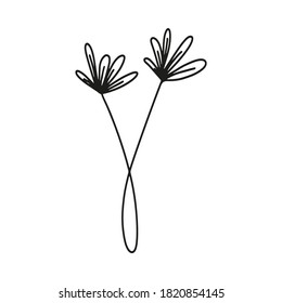 Hand drawn botanical element in vector. Perfect for design.