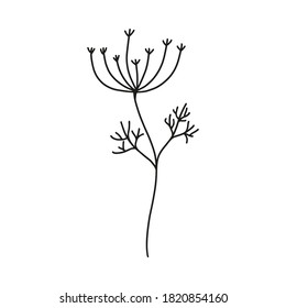 Hand drawn botanical element in vector. Perfect for design.