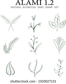 hand drawn botanical element wedding card invitation decoration floral art ornament