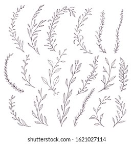 Hand drawn botanical elements collection