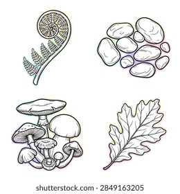 Hand Drawn Botanical Elements Featuring Fern Fiddlehead Stones Mushrooms