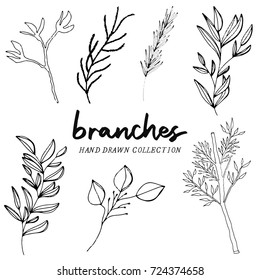 Herbs Set Collection Ink Sketches Isolated Stock Vector (Royalty Free ...