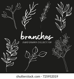 Hand drawn botanical elements, line art branches and leaves