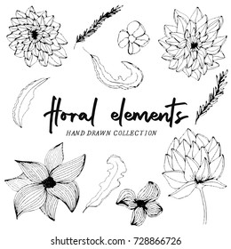 Hand drawn botanical elements, line art flowers, branches and leaves