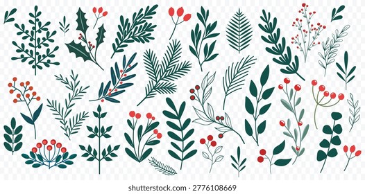 Hand Drawn botanical elements Pine Branch Winter Christmas Holly leaves 
and red berries Sprig Pattern Evergreen Spruce Foliage Vector Illustration on White Background