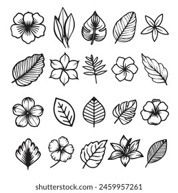 Conjunto de Elementos botánicos dibujados a mano
