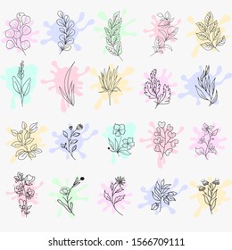 Hand Drawn Botanical Elements Vector