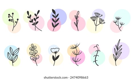 Hand Drawn Botanical Elements Vector Set, minimal drawn floral leaves botanical line art on colorful circle background, Hand drawn leaves line Floral branch, Vector illustration EPS 10
