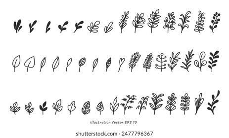 Hand Drawn Botanical Elements Vector Set, minimal drawn floral leaves botanical line art on colorful circle background, Hand drawn leaves line Floral branch, Vector illustration EPS 10