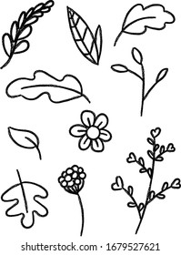 hand drawn botanical and floral elements vector crayon drawing