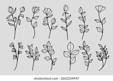 Hand drawn botanical floral elements line art collection.  