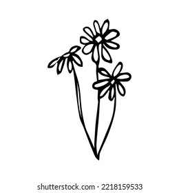 hand drawn botanical flower doodle element for floral design concept