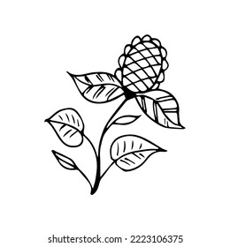 hand drawn botanical flower doodle element for floral design concept