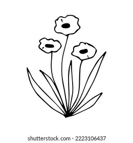 hand drawn botanical flower doodle element for floral design concept