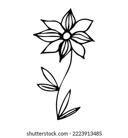 hand drawn botanical flower doodle element for floral design concept