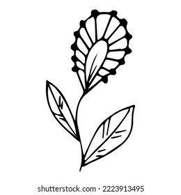 hand drawn botanical flower doodle element for floral design concept