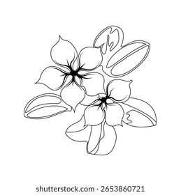 flor botânica desenhada à mão e folha doodle wildflower.eps