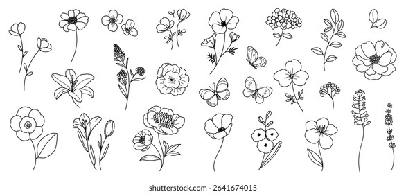 Hand drawn botanical flower line art vector set. Collection black white contour drawing of foliage, wildflower, eucalyptus, butterfly. Illustration design for logo, wedding, invitation, decor.
