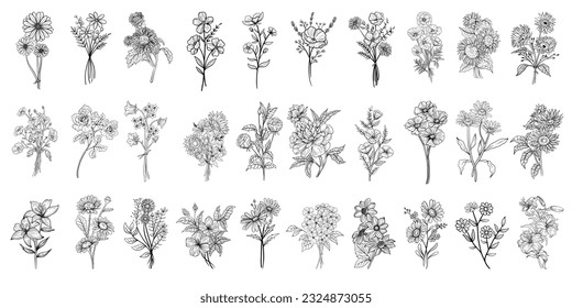 Conjunto de vectores de elementos de flores botánicas dibujadas a mano, línea de dibujo de flores silvestres Paquete de clipart para artesanías de silueta impresa y diseños de camisetas