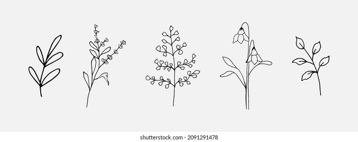 Hand drawn botanical flowers and leaves. Hand sketched vector vintage elements for wedding decorations, birthday, social media and more.