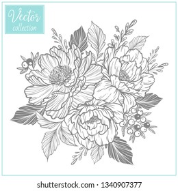 Hand Drawn Botanical Flowers. Set of plant elements. Vector Collection of Illustrations