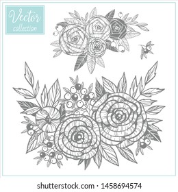 Hand Drawn Botanical Flowers. Set of plant elements. Vector Collection of Illustrations