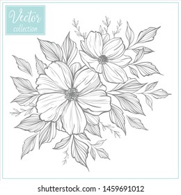 Hand Drawn Botanical Flowers. Set of plant elements. Vector Collection of Illustrations