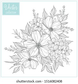 Flores Botánicas Dibujadas A Mano. Conjunto de elementos vegetales. Colección vectorial de ilustraciones. Elemento vintage vectorial esbozado a mano