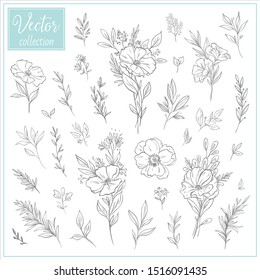 Hand Drawn Botanical Flowers. Set of plant elements. Vector Collection of Illustrations. Hand sketched vector vintage elements (leaves and flowers). Wedding decorations