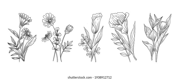 Hand Drawn Botanical Flowers Set