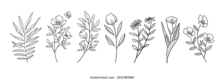 Hand Drawn Botanical Flowers Set