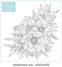 Hand Drawn Botanical Flowers. Vector Collection of Illustrations. Hand sketched vector vintage element. Poppy bouquet