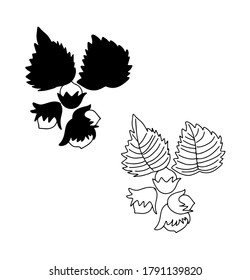 Hand drawn botanical hazel nutwood leaf. Leaf silhouette. Line art, doodle, minimalism, modern style, vector floral graphic illustration. 