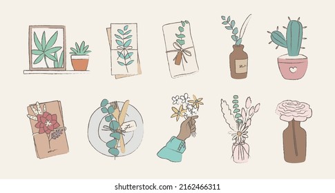Hand drawn botanical home decor illustrations 