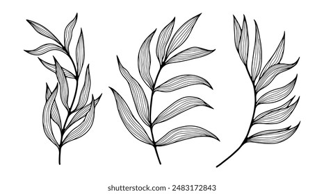 Hand drawn botanical illustration with branches and leaves. Contour of branches on a white background.