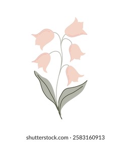 Hand drawn botanical illustration with delicate pink bell flowers and green leaves. Minimalist floral art in pastel colors. Perfect for prints, branding, stationery, textile, home decor