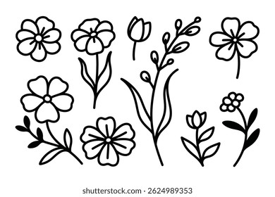 ILLUSTRATION BOTANIQUE DESSINÉE À LA MAIN POUR LA CONCEPTION