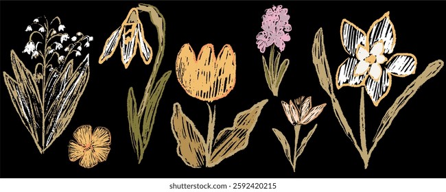 Hand drawn botanical illustration with a vintage floral aesthetic. Delicate sketch-style wildflowers in earthy tones, accented with pastel hues on a bold black background. A mix of rustic, organic