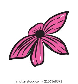 Hand Drawn Botanical Illustrations. flowers drawing with line-art on white backgrounds