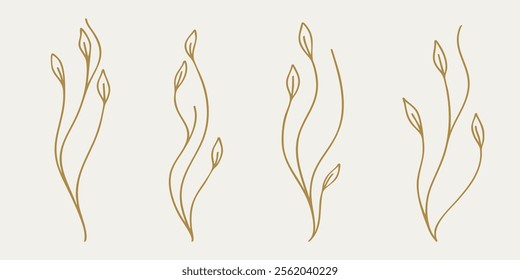 hand drawn botanical illustrations of various leaves
