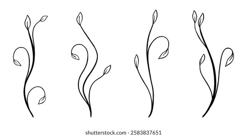 hand drawn botanical illustrations of various leaves