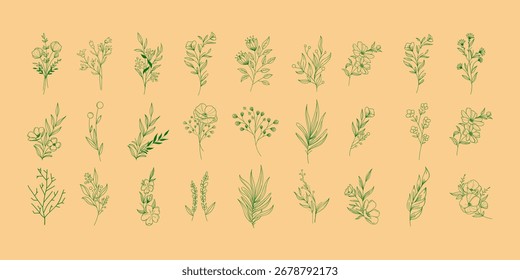 handgezeichnete Botanische Blatt Zweig Vektor Set Natur Blattwerk Elemente